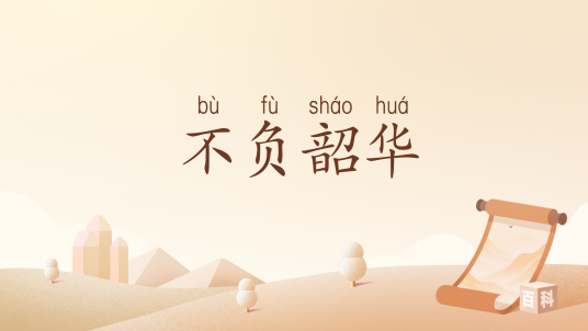 不负韶华（汉语词汇）