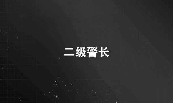 二级警长