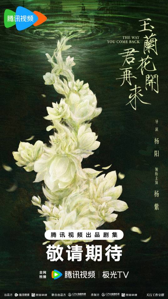 玉兰花开君再来（计划2027年播出的杨阳执导的女性传奇剧）