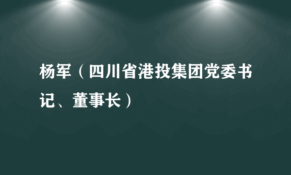 杨军（四川省港投集团党委书记、董事长）