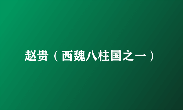 赵贵（西魏八柱国之一）