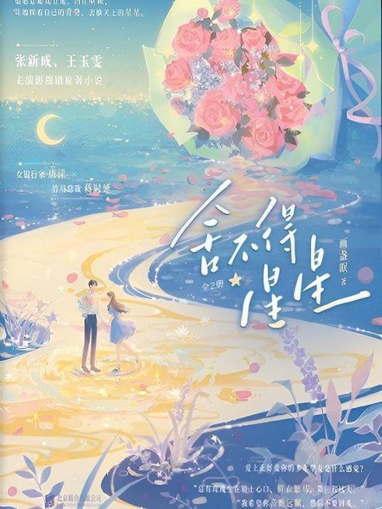 舍不得星星（画盏眠创作的都市小说）