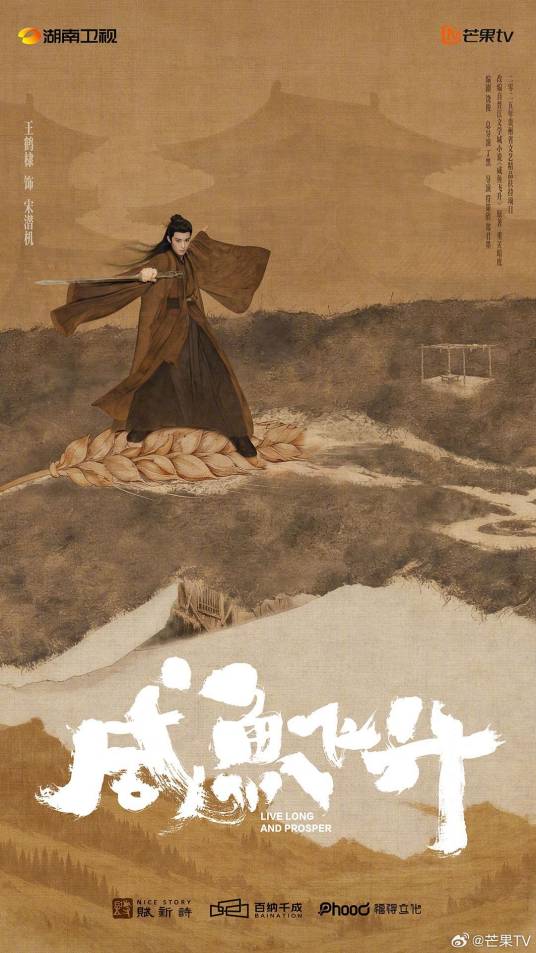 咸鱼飞升（2025年丁黑执导的奇幻古装电视剧）