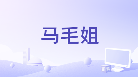 马毛姐（安徽方东易文化传媒有限公司备案的电影）