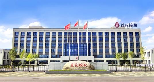 莲花控股股份有限公司
