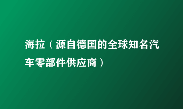 海拉（源自德国的全球知名汽车零部件供应商）