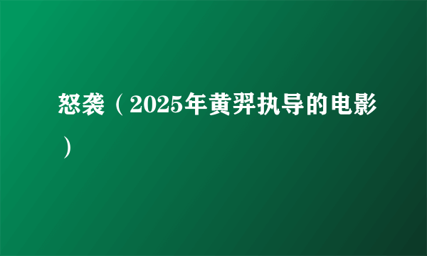 怒袭（2025年黄羿执导的电影）