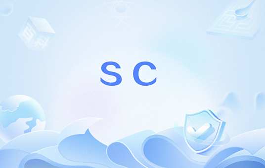 sc（网络流行语）