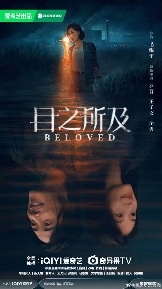 目之所及（2025年毛鲲宇执导的悬疑剧）