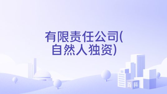 有限责任公司(自然人独资)