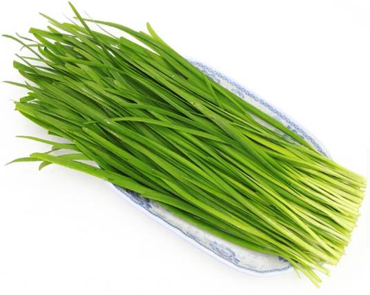 韭菜（中药）