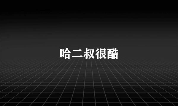 哈二叔很酷