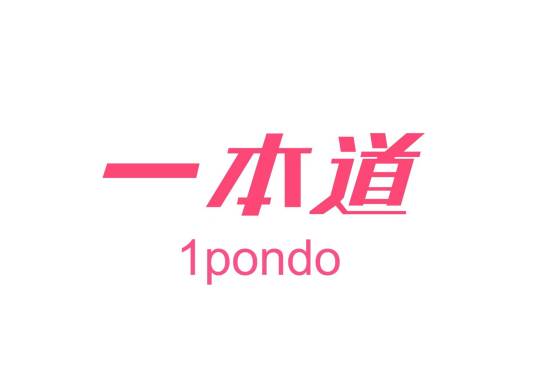一本道（源自日本的情趣用品品牌）