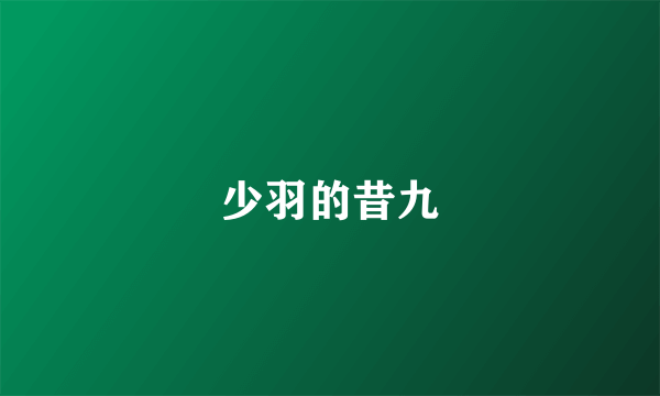 少羽的昔九