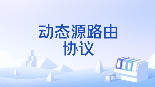 动态源路由协议