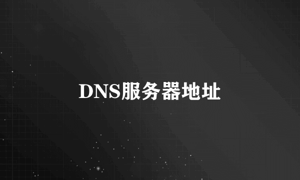 DNS服务器地址