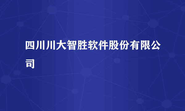 四川川大智胜软件股份有限公司