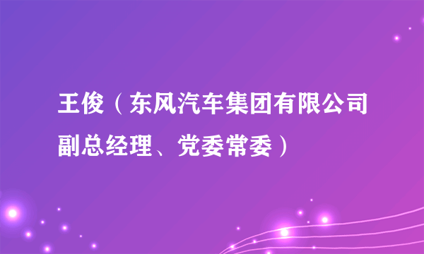 王俊（东风汽车集团有限公司副总经理、党委常委）