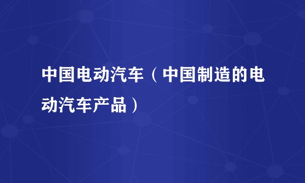 中国电动汽车（中国制造的电动汽车产品）