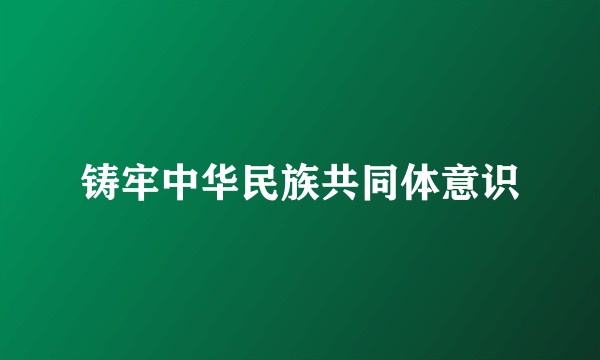 铸牢中华民族共同体意识