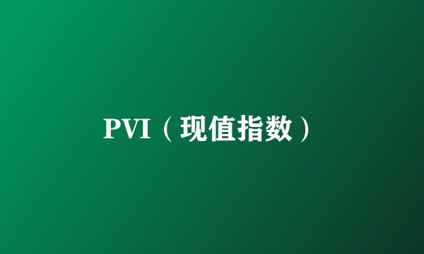 PVI（现值指数）