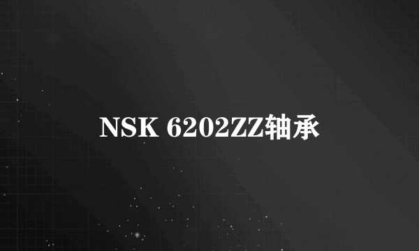 NSK 6202ZZ轴承