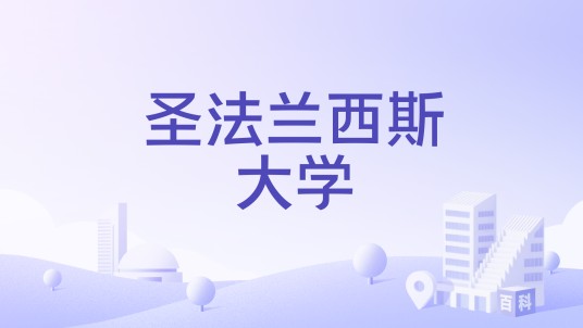 圣法兰西斯大学