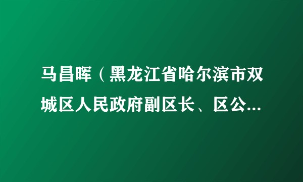 马昌晖（黑龙江省哈尔滨市双城区人民政府副区长、区公安分局局长）