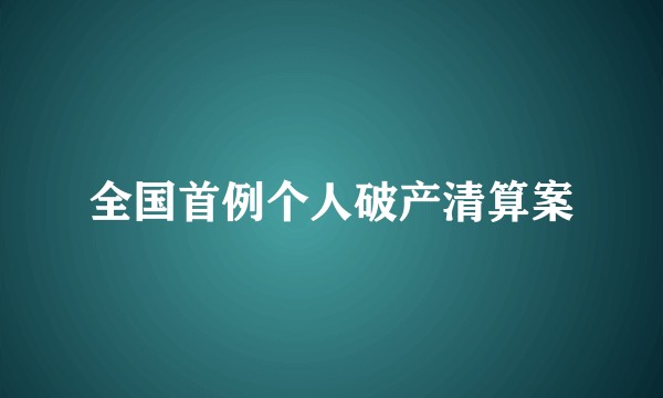 全国首例个人破产清算案