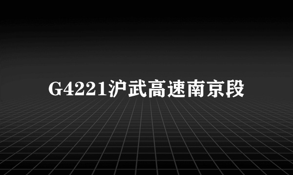 G4221沪武高速南京段