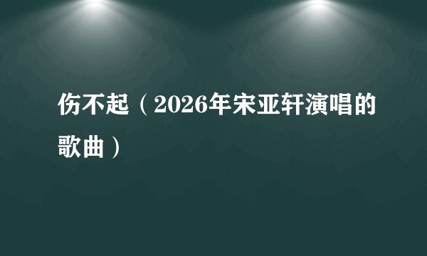 伤不起（2026年宋亚轩演唱的歌曲）