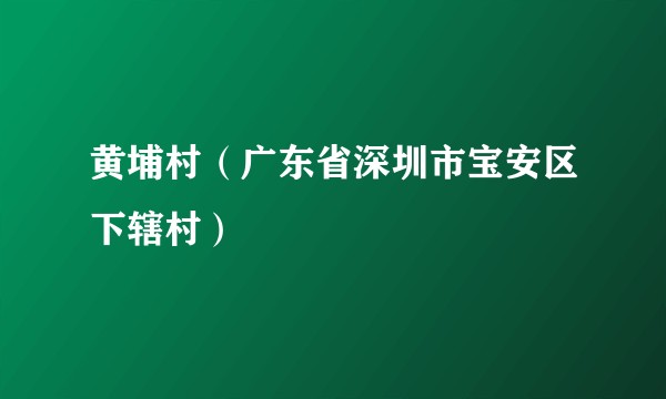 黄埔村（广东省深圳市宝安区下辖村）