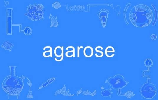 agarose
