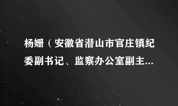 杨姗（安徽省潜山市官庄镇纪委副书记、监察办公室副主任、妇联主席、一级科员）