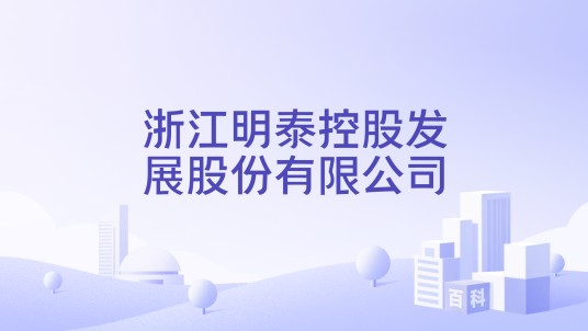 浙江明泰控股发展股份有限公司