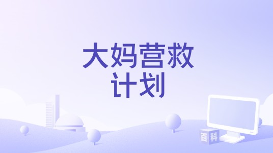 大妈营救计划