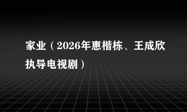 家业（2026年惠楷栋、王成欣执导电视剧）