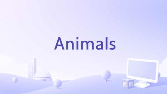 Animals（2014年Collin Schiffli执导的电影）