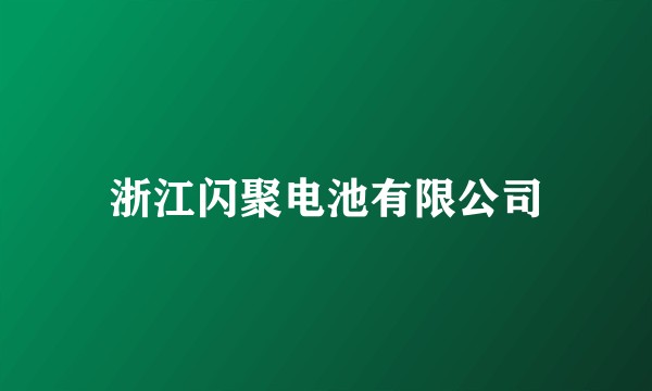 浙江闪聚电池有限公司
