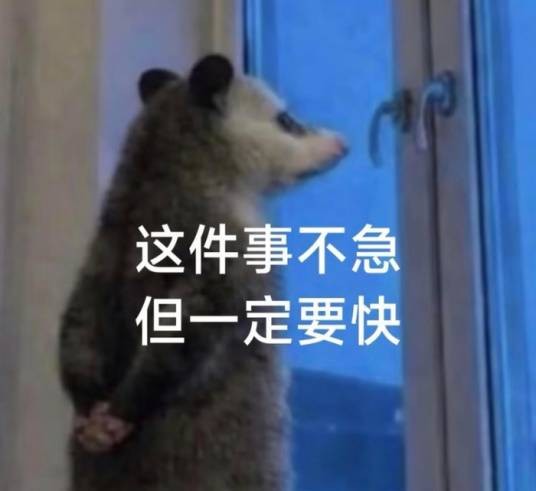 负鼠表情包