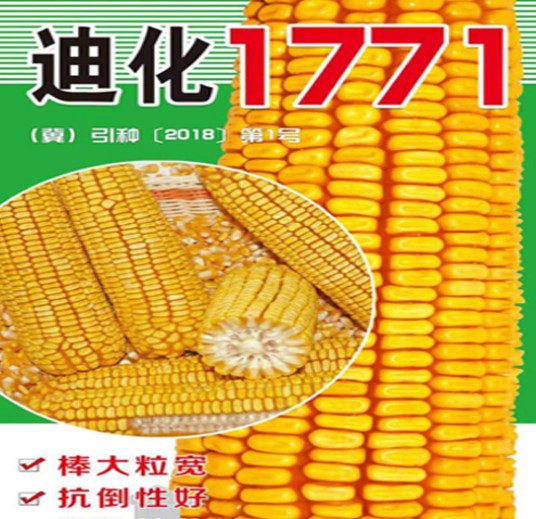 迪化1771