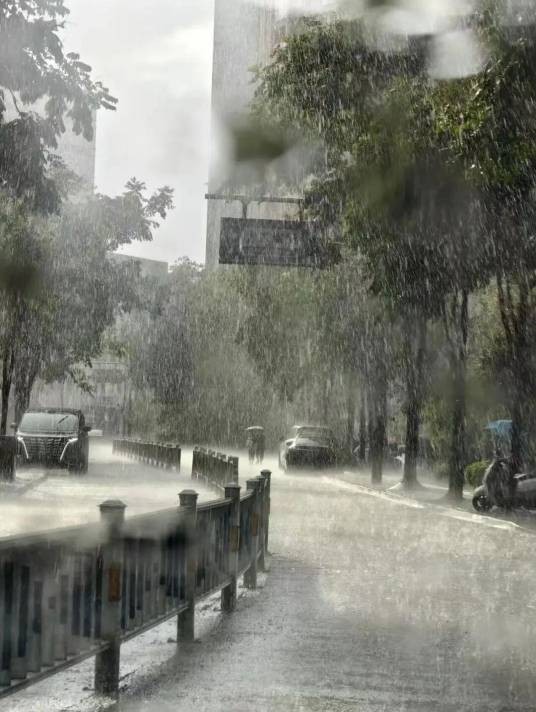 8·1杭州暴雨