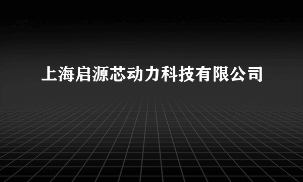 上海启源芯动力科技有限公司