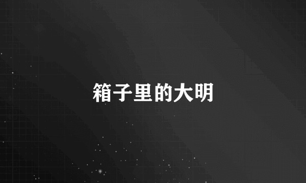 箱子里的大明