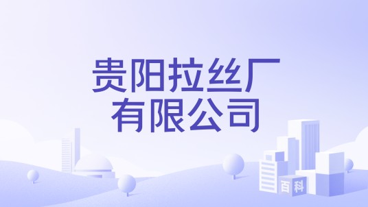 贵阳拉丝厂有限公司