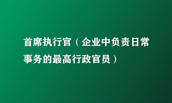 首席执行官（企业中负责日常事务的最高行政官员）