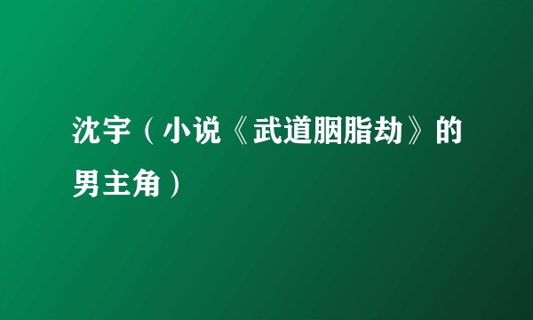 沈宇（小说《武道胭脂劫》的男主角）