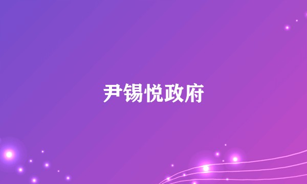 尹锡悦政府