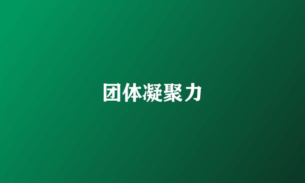 团体凝聚力