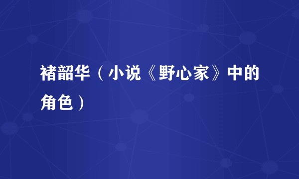 褚韶华(小说《野心家》中的角色)